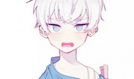 动漫可爱头像男生,动漫风男生头像魅力解析